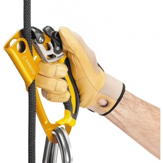 PETZL Ascension Ascender (2015)